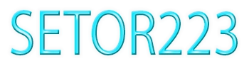 SETOR223